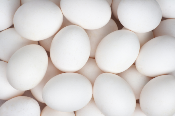 Dairy and Poultry - Image 2