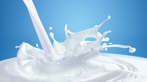 Dairy and Poultry